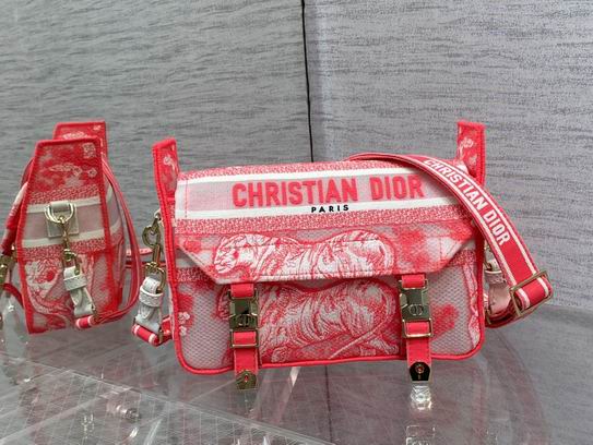 Christian Dior 2022 Bag ID:20220807-19